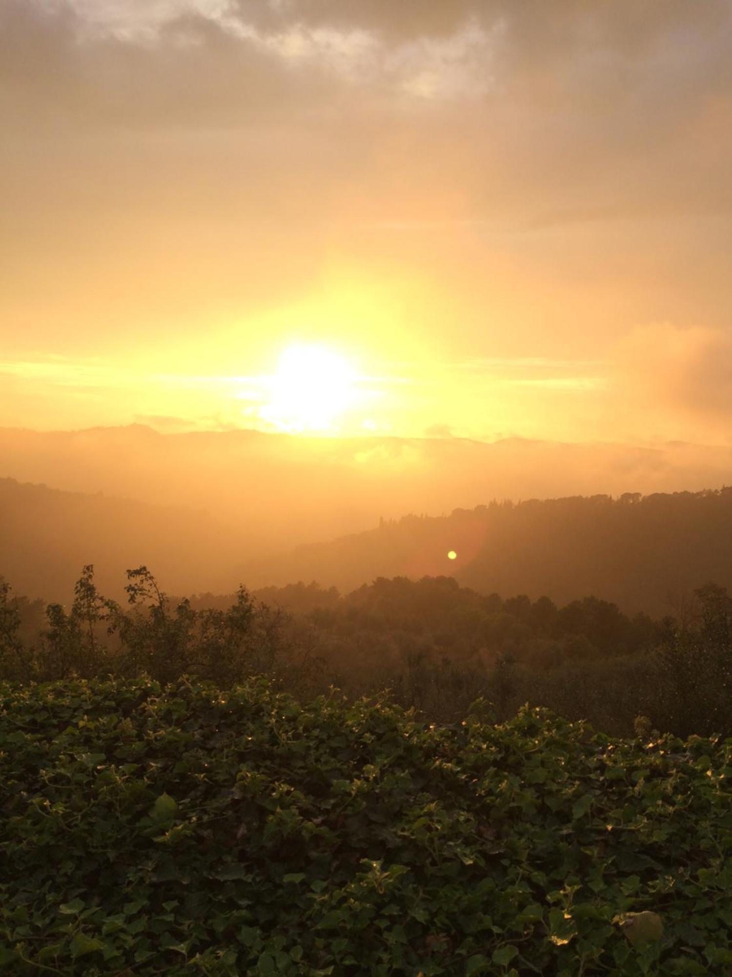 Podere Campolungo Greve in Chianti Exteriör bild