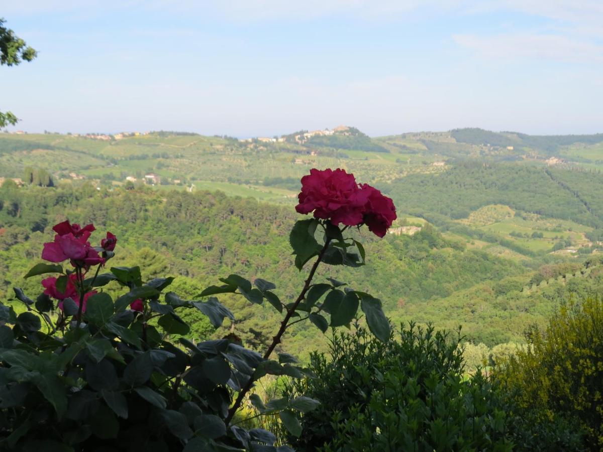 Podere Campolungo Greve in Chianti Exteriör bild